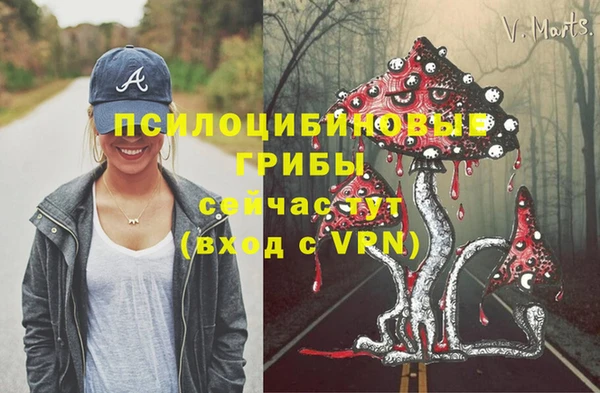СК Абдулино