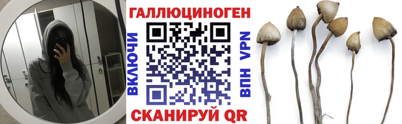 ОМГ ОМГ как зайти  Оренбург  Галлюциногенные грибы Psilocybe  где купить  